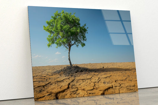 A Tree Is Standing In a Barren Desert Acrylic Glass Print Tempered Glass Wall Art 100% Made in Australia Ready to Hang