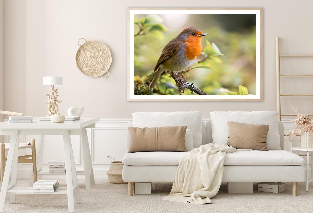 Bird In Family Turdidae, With Beak Open in Profile Home Decor Premium Quality Poster Print Choose Your Sizes