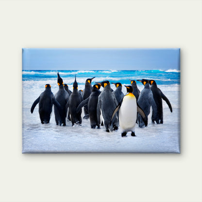 King Penguins South Georgia Coast Wall Art Decor 100% Australian Made