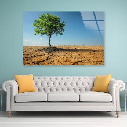 A Tree Is Standing In a Barren Desert Acrylic Glass Print Tempered Glass Wall Art 100% Made in Australia Ready to Hang