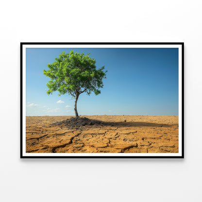 A Tree Is Standing In a Barren Desert Home Decor Premium Quality Poster Print Choose Your Sizes