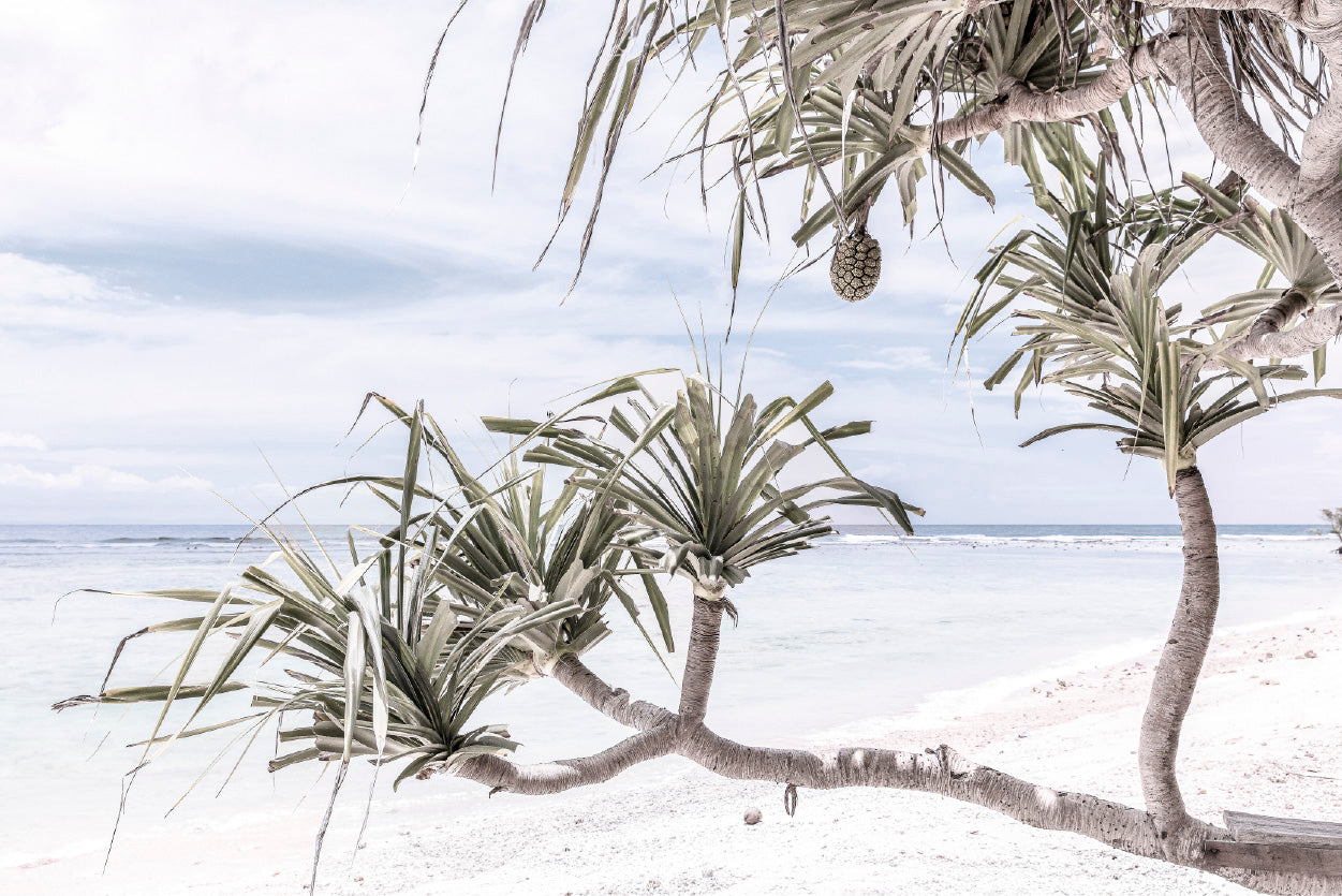 Palms Beach & Blue Sky Faded View Photograph Glass Framed Wall Art, Ready to Hang Quality Print