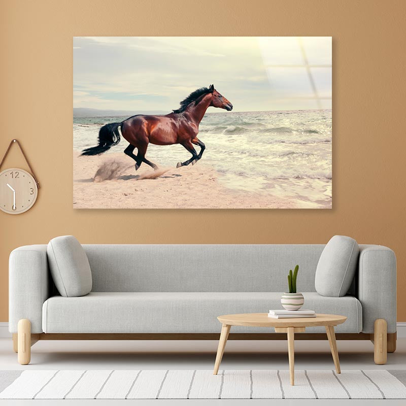 Wonderful Marine Landscape with Beautiful Bay Horse Acrylic Glass Print Tempered Glass Wall Art 100% Made in Australia Ready to Hang