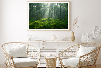 Misty Morning in the Forest Home Decor Premium Quality Poster Print Choose Your Sizes