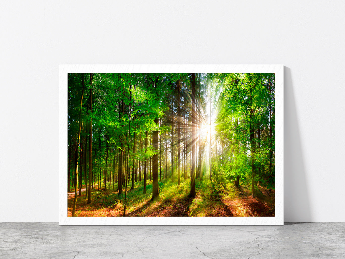 Sunlight Shining In Forest Glass Framed Wall Art, Ready to Hang Quality Print Without White Border White