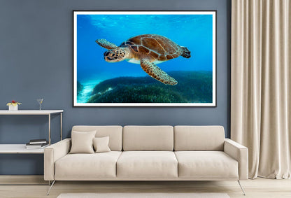 Turtle Swimming in The Ocean with A Lot of Water Home Decor Premium Quality Poster Print Choose Your Sizes