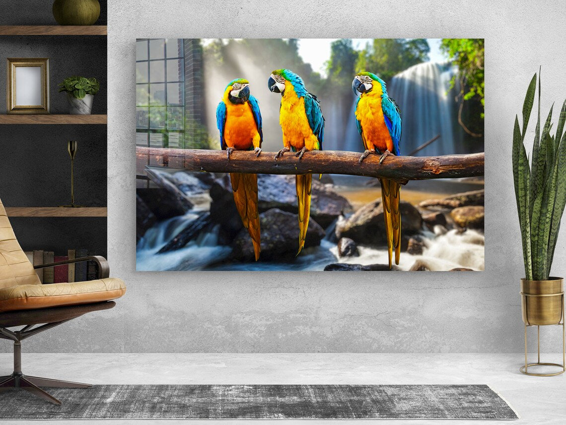 Macaw Birds on Branch UV Direct Aluminum Print Australian Made Quality