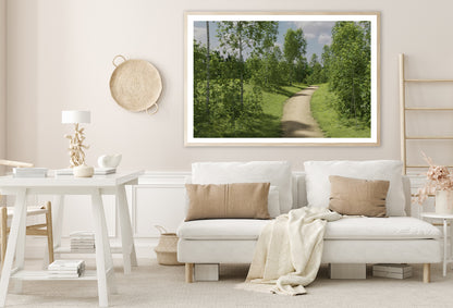 Path Surrounded By Trees of the Forest Home Decor Premium Quality Poster Print Choose Your Sizes