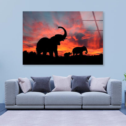 Elephant Family & Sunset Sky View Acrylic Glass Print Tempered Glass Wall Art 100% Made in Australia Ready to Hang