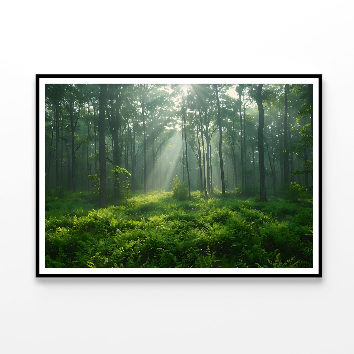 Misty Morning in the Forest Home Decor Premium Quality Poster Print Choose Your Sizes