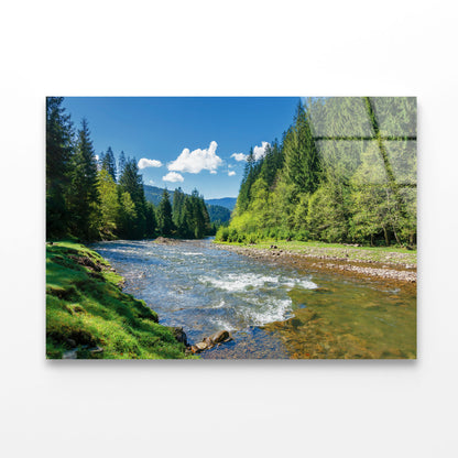 River among Spruce Forest Acrylic Glass Print Tempered Glass Wall Art 100% Made in Australia Ready to Hang