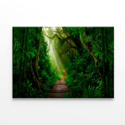 Tropical Jungles Southeast Asia Wall Art Decor 100% Australian Made