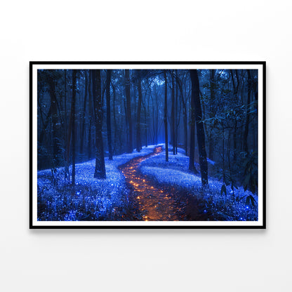 Footpath in the Forest View Home Decor Premium Quality Poster Print Choose Your Sizes