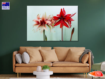 A Group of Red Lily Flowers Print 100% Australian Made