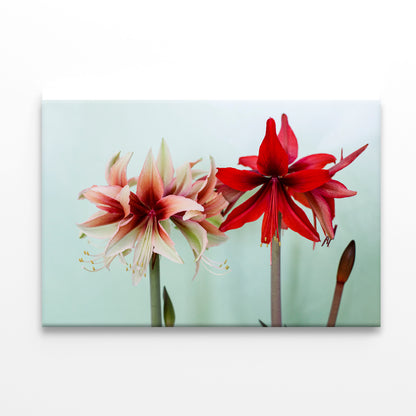 A Group of Red Lily Flowers Print 100% Australian Made