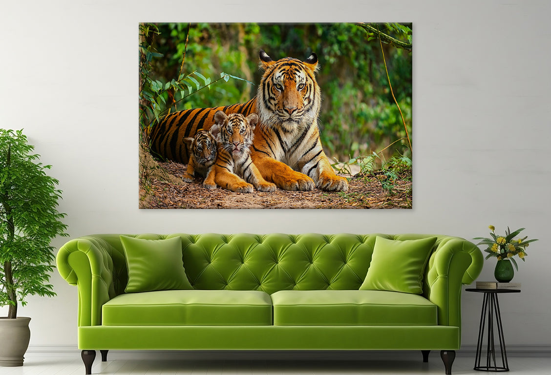 Bengal Tiger with Cubs in Forest Wall Art Decor 100% Australian Made