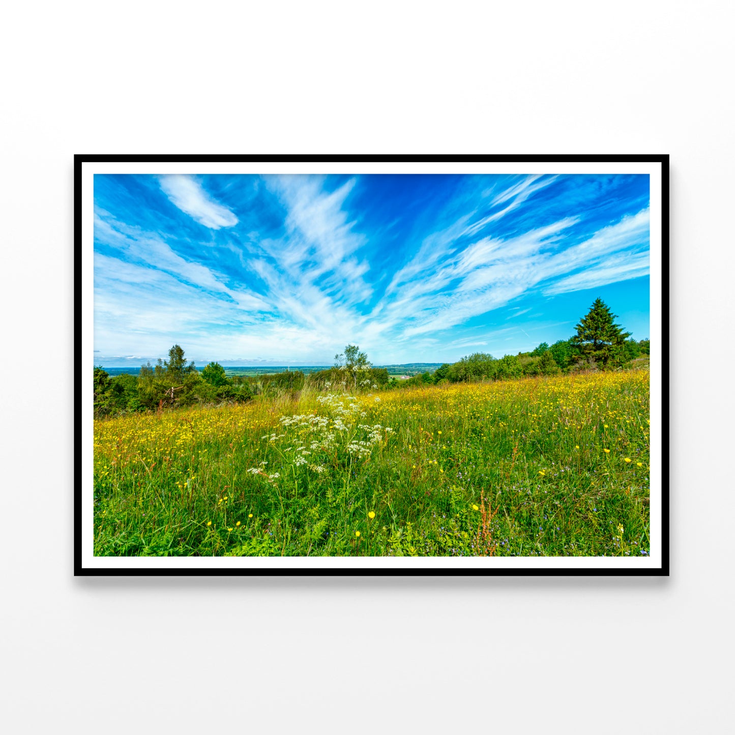 Flowering Meadow with Cirrus Cloud in the Sky Home Decor Premium Quality Poster Print Choose Your Sizes