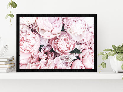 Pink Peonies Closuep View Photograph Glass Framed Wall Art, Ready to Hang Quality Print Without White Border Black