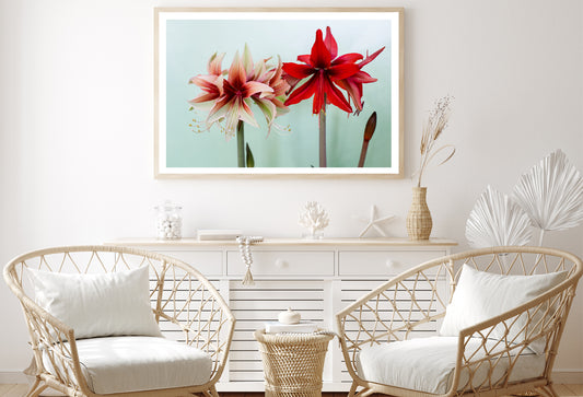 A Group of Red Lily Flowers Home Decor Premium Quality Poster Print Choose Your Sizes