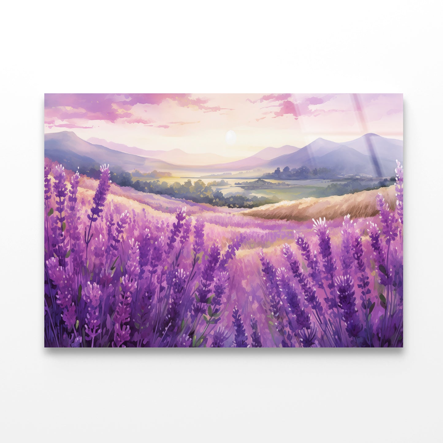 Field Of Purple Flowers, Sky & Mountains Acrylic Glass Print Tempered Glass Wall Art 100% Made in Australia Ready to Hang