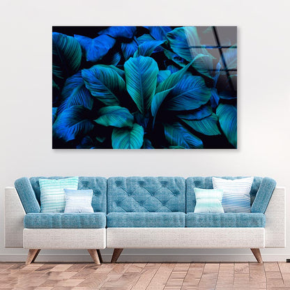 Leaves Of Spathiphyllum Cannifolium Acrylic Glass Print Tempered Glass Wall Art 100% Made in Australia Ready to Hang