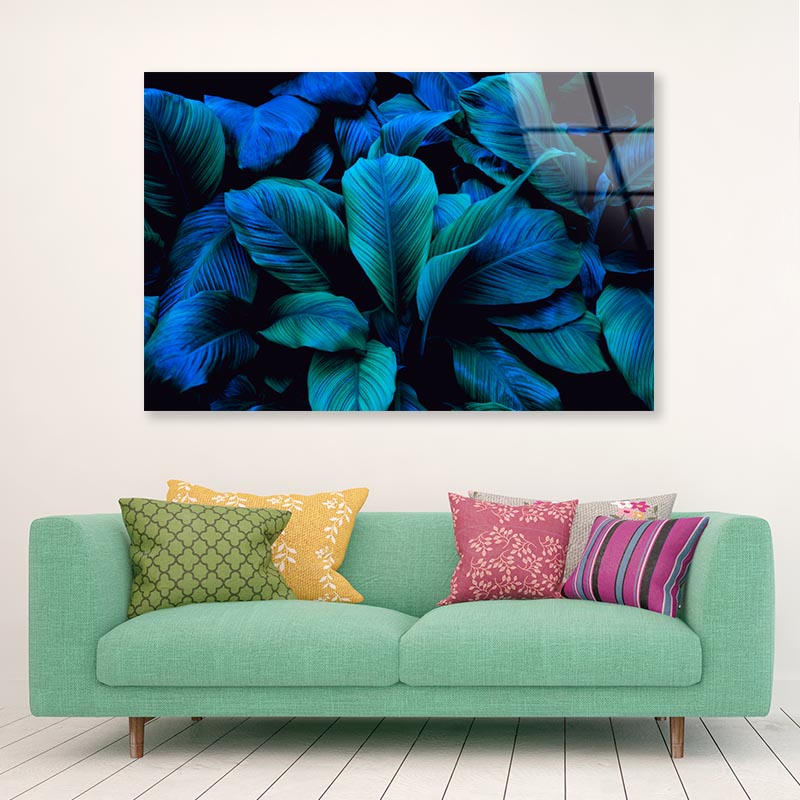 Leaves Of Spathiphyllum Cannifolium Acrylic Glass Print Tempered Glass Wall Art 100% Made in Australia Ready to Hang