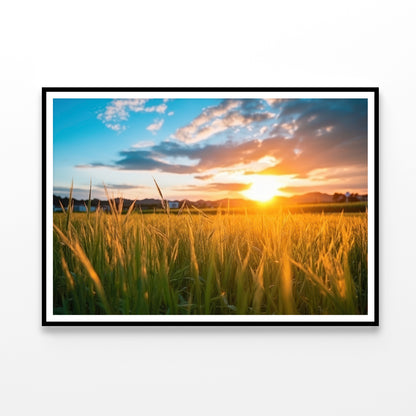 Peaceful Grassland Scenery on Sunset Home Decor Premium Quality Poster Print Choose Your Sizes