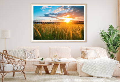 Peaceful Grassland Scenery on Sunset Home Decor Premium Quality Poster Print Choose Your Sizes