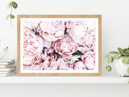 Pink Peonies Closuep View Photograph Glass Framed Wall Art, Ready to Hang Quality Print With White Border Oak