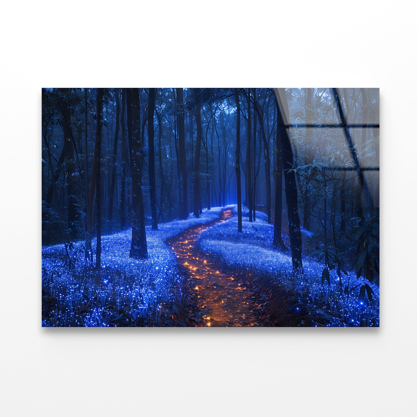 Footpath in the Forest View Acrylic Glass Print Tempered Glass Wall Art 100% Made in Australia Ready to Hang