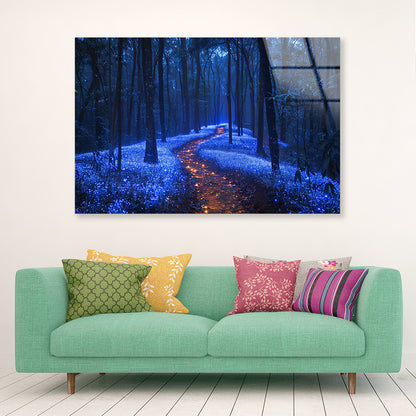 Footpath in the Forest View Acrylic Glass Print Tempered Glass Wall Art 100% Made in Australia Ready to Hang