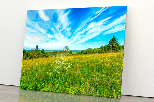 Flowering Meadow with Cirrus Cloud in the Sky Acrylic Glass Print Tempered Glass Wall Art 100% Made in Australia Ready to Hang