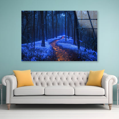 Footpath in the Forest View Acrylic Glass Print Tempered Glass Wall Art 100% Made in Australia Ready to Hang