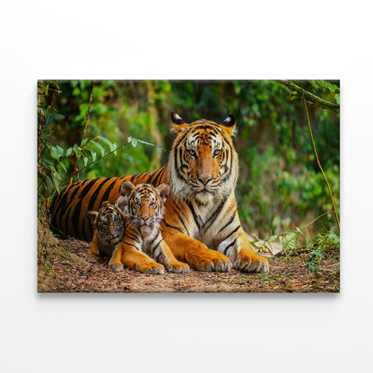 Bengal Tiger with Cubs in Forest Wall Art Decor 100% Australian Made