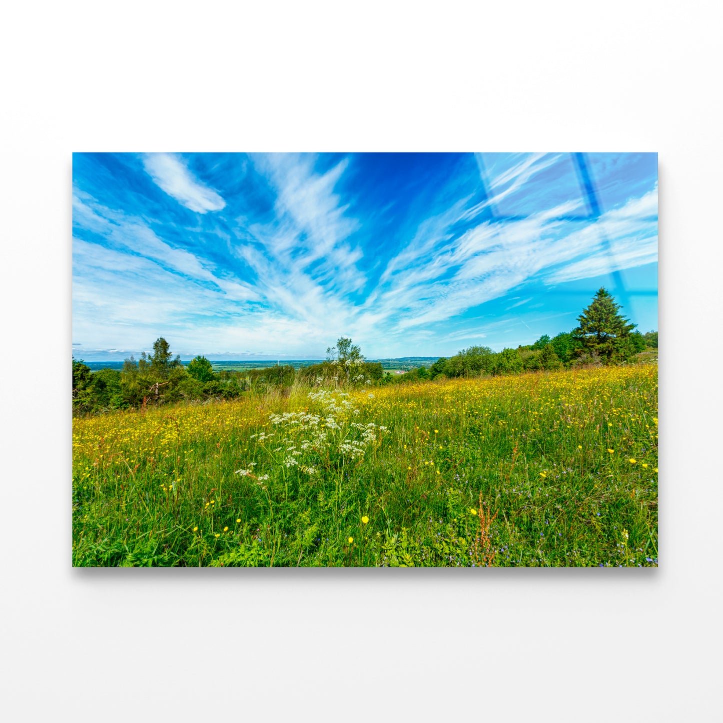 Flowering Meadow with Cirrus Cloud in the Sky Acrylic Glass Print Tempered Glass Wall Art 100% Made in Australia Ready to Hang