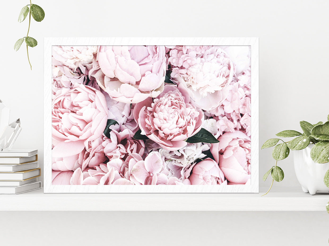 Pink Peonies Closuep View Photograph Glass Framed Wall Art, Ready to Hang Quality Print Without White Border White