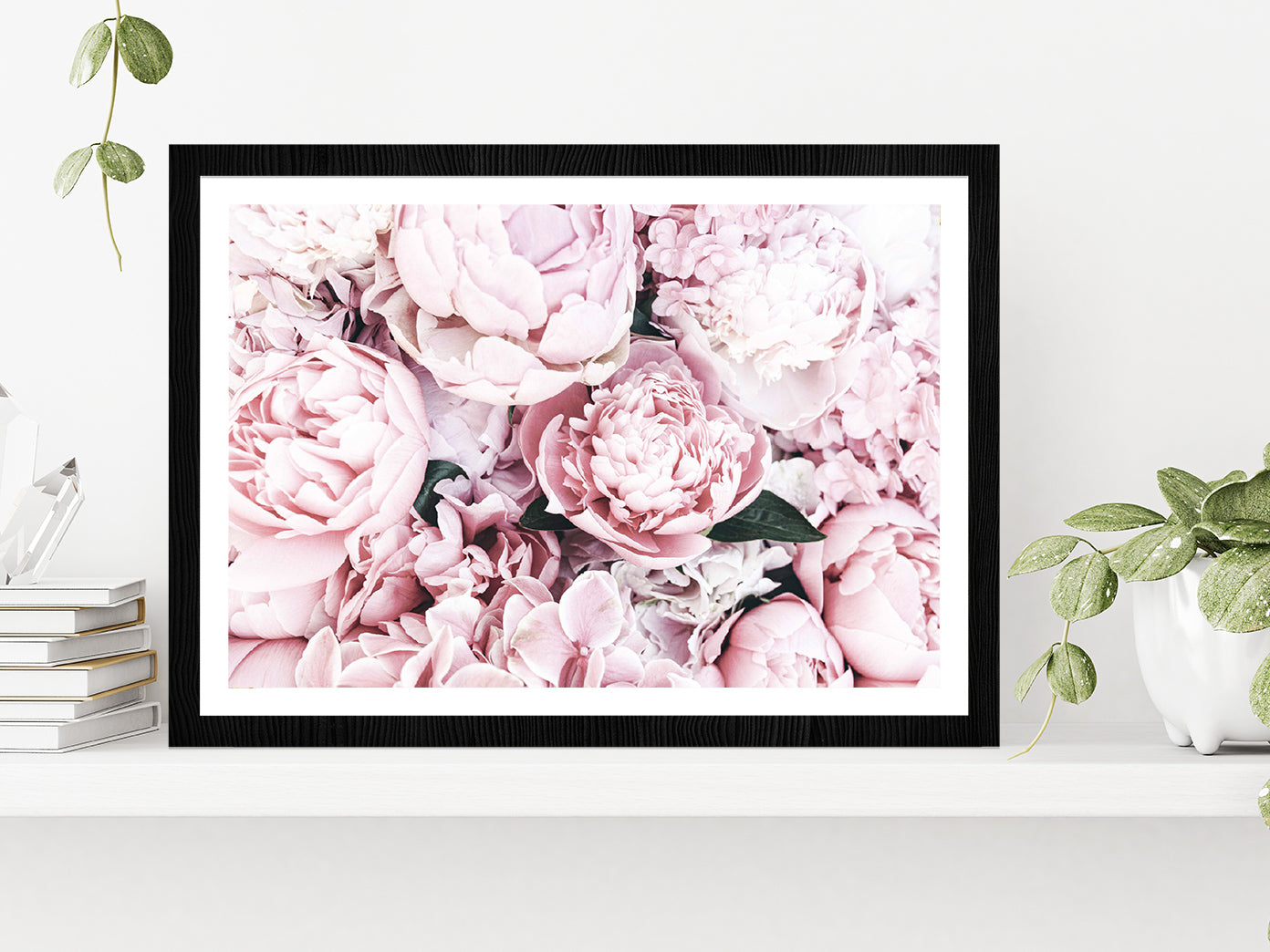 Pink Peonies Closuep View Photograph Glass Framed Wall Art, Ready to Hang Quality Print With White Border Black