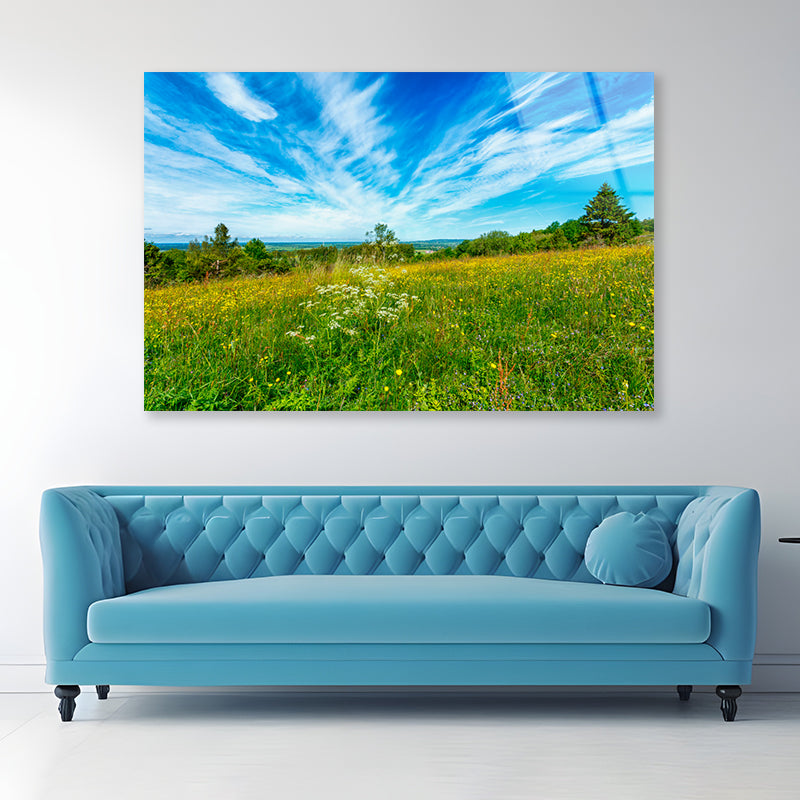 Flowering Meadow with Cirrus Cloud in the Sky Acrylic Glass Print Tempered Glass Wall Art 100% Made in Australia Ready to Hang