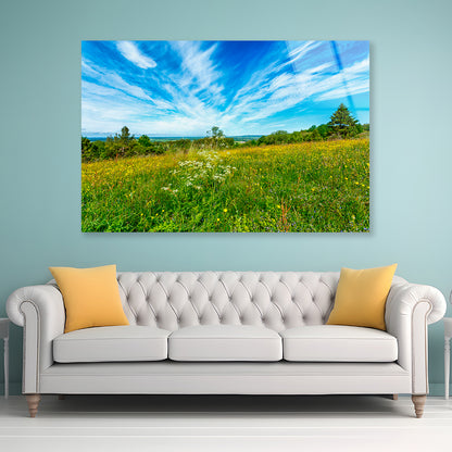 Flowering Meadow with Cirrus Cloud in the Sky Acrylic Glass Print Tempered Glass Wall Art 100% Made in Australia Ready to Hang