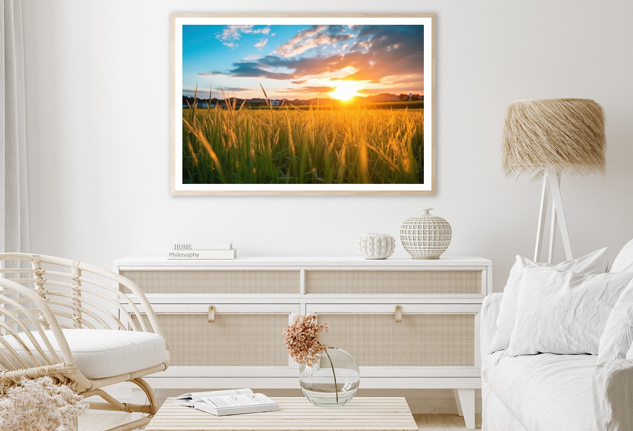 Peaceful Grassland Scenery on Sunset Home Decor Premium Quality Poster Print Choose Your Sizes