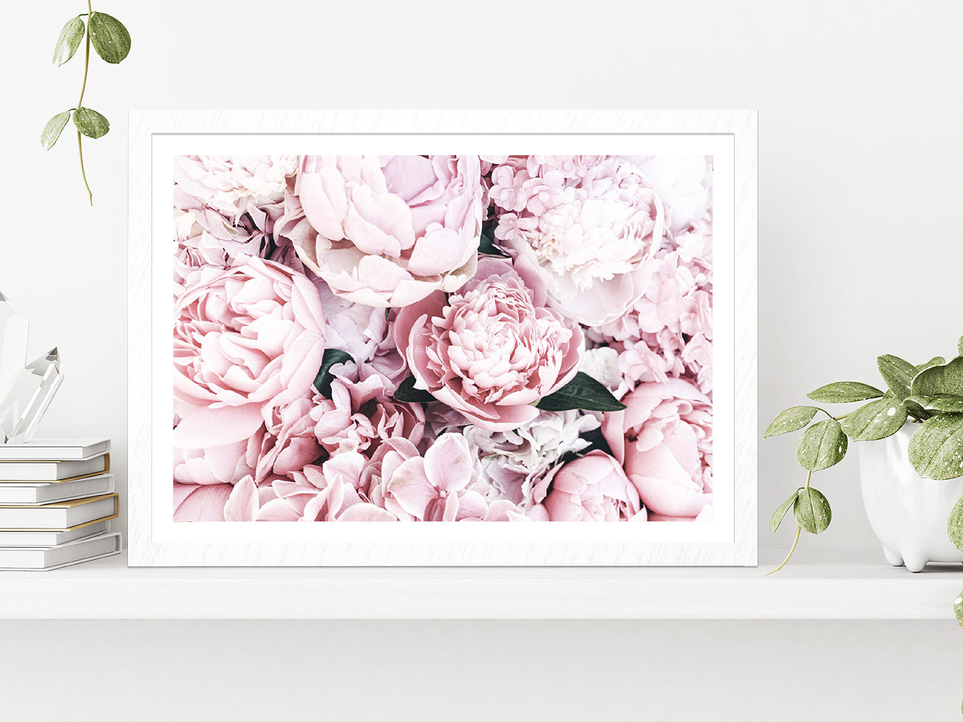 Pink Peonies Closuep View Photograph Glass Framed Wall Art, Ready to Hang Quality Print With White Border White