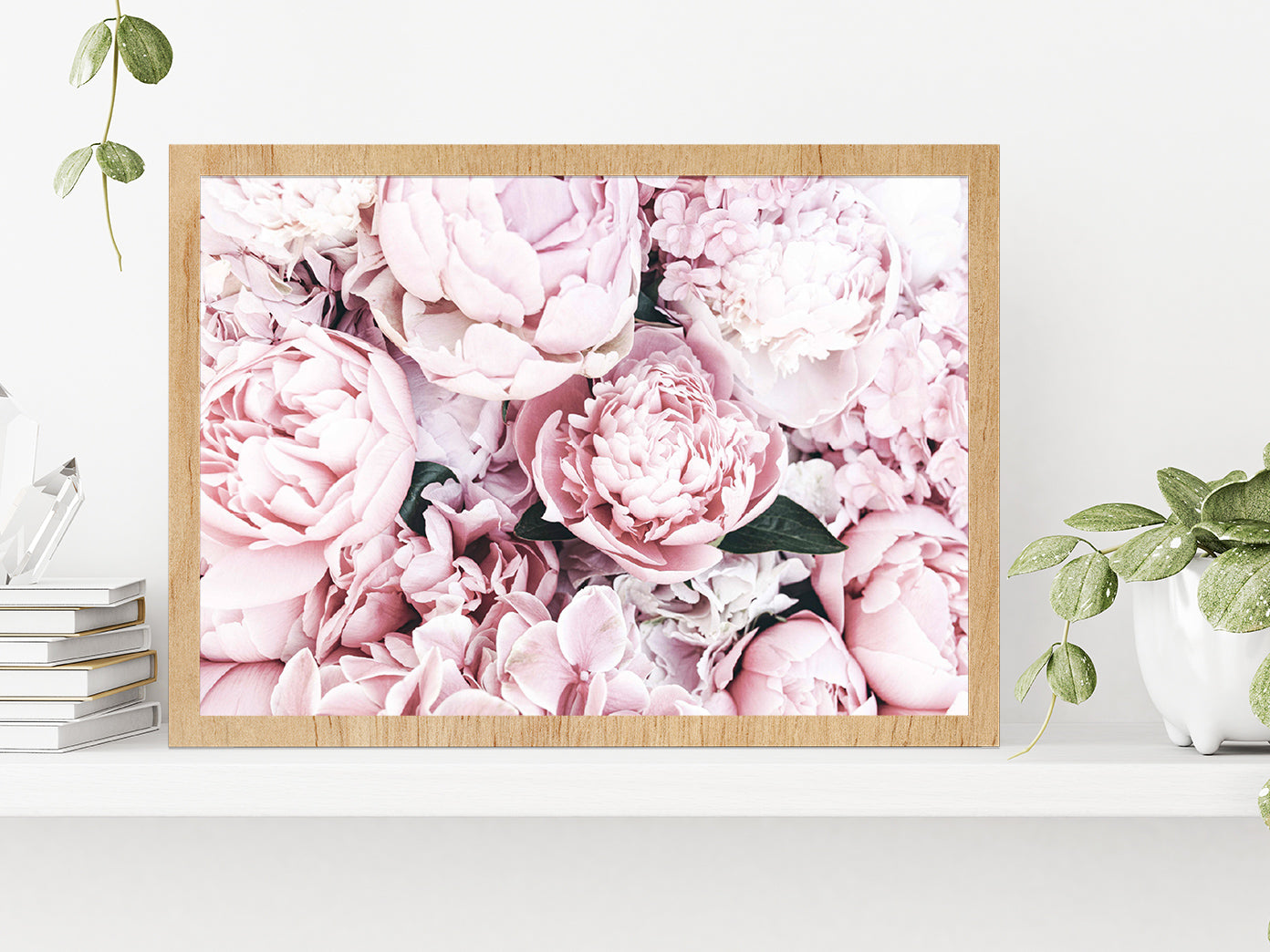 Pink Peonies Closuep View Photograph Glass Framed Wall Art, Ready to Hang Quality Print Without White Border Oak