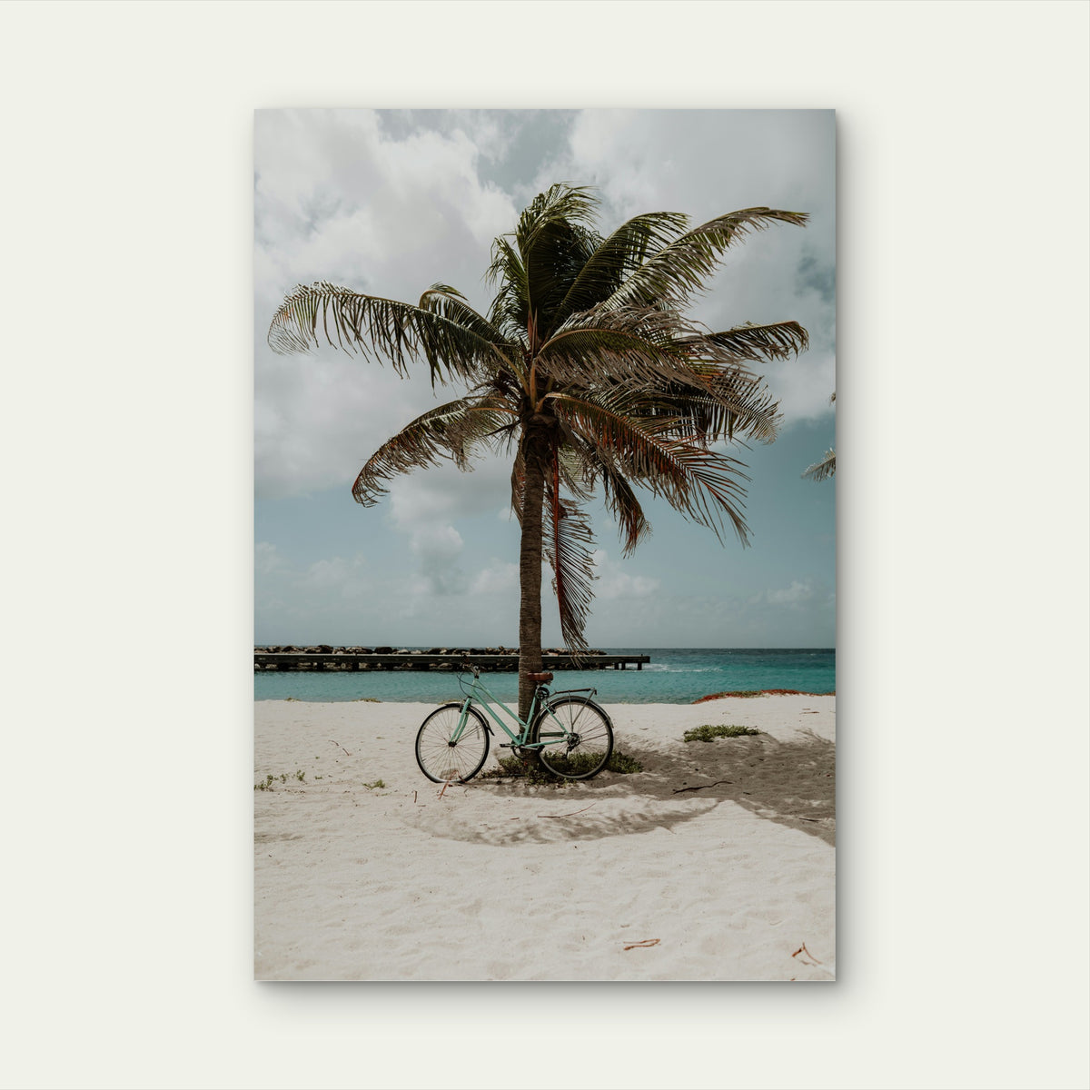 Cycling On Curaçao A Tiny Island In The Caribbean 40x60cm Metal Print Ready to Hang
