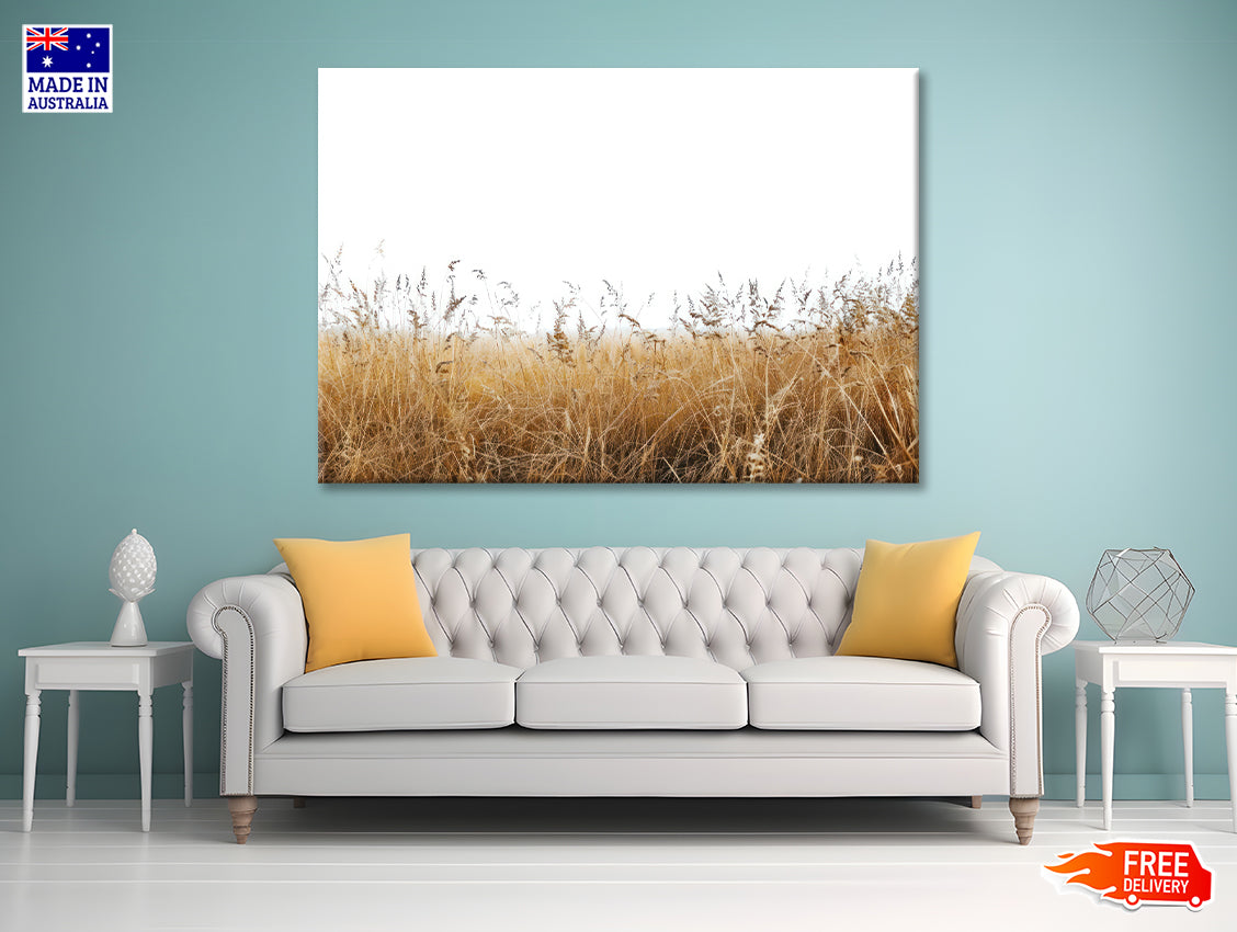 A Field Of Tall Grass under a Sky in winter Print 100% Australian Made