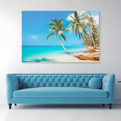 Tropical Beach Coconut Trees Acrylic Glass Print Tempered Glass Wall Art 100% Made in Australia Ready to Hang