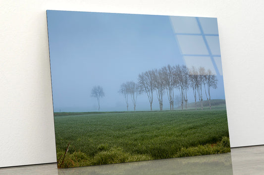 A Grassy Field with Trees, Clear Sky and Some Mist Acrylic Glass Print Tempered Glass Wall Art 100% Made in Australia Ready to Hang