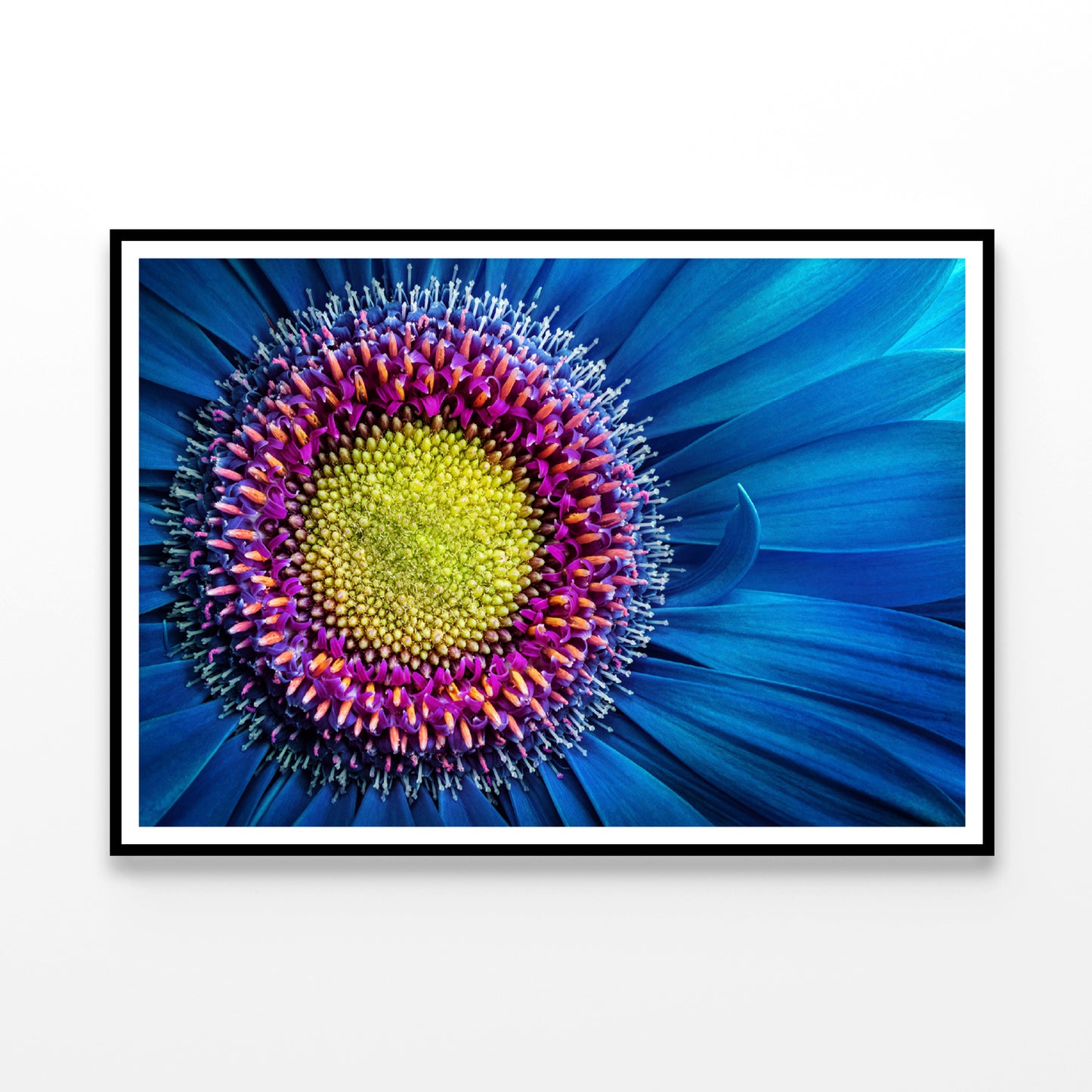 Gerbera Flower Close Up View Home Decor Premium Quality Poster Print Choose Your Sizes