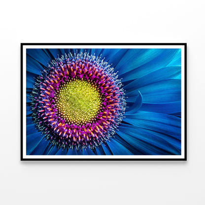 Gerbera Flower Close Up View Home Decor Premium Quality Poster Print Choose Your Sizes