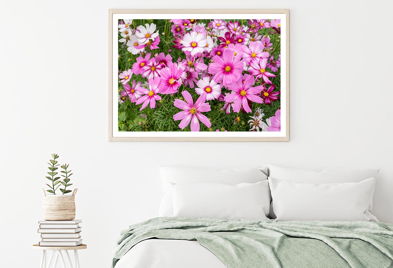 Cosmos Flowers In Green Meadow Home Decor Premium Quality Poster Print Choose Your Sizes