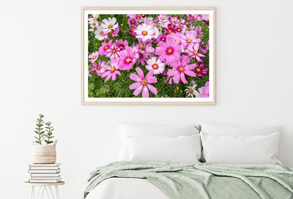 Cosmos Flowers In Green Meadow Home Decor Premium Quality Poster Print Choose Your Sizes